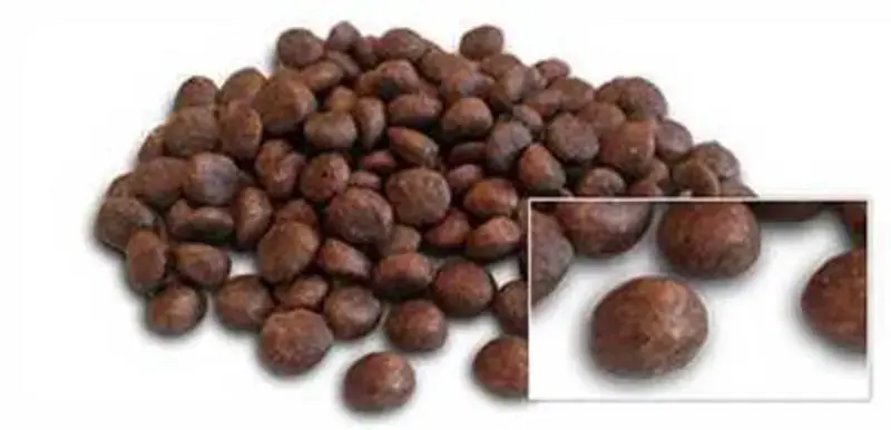 Kibble pic.webp
